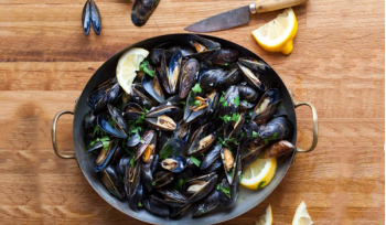 Mussels / الرخويات 