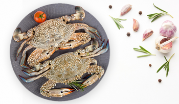 Fresh Crab (Medium Size ) / Nandu / Jenji / سلطعون أزرق- سرطان أزرق 