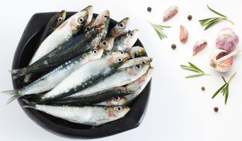 Sardines / Matthi / Kavalai / سَردين