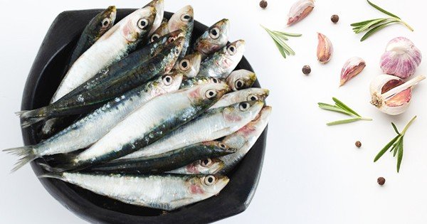 Sardine fish, Sardines online in Dubai, Sharjah, Ajman