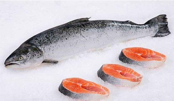 Fresh Norwegian Salmon - Whole