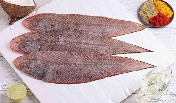 Sole Fish / Manthal / Nangu / سمك موسى