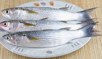 Biya / Maalan / Mullet Fish