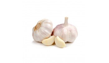 Garlic -China